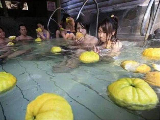 双性高h宫交的相关介绍