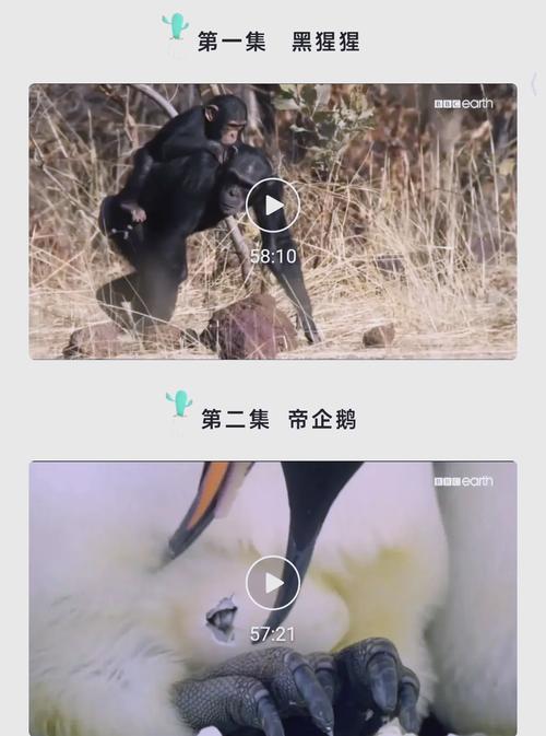 王朝影院在线观看最新热门电影电视剧,高清画质畅享追剧体验