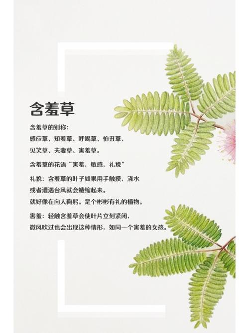 蓝狐影院在线观看 - 最新热门电影电视剧免费追剧平台