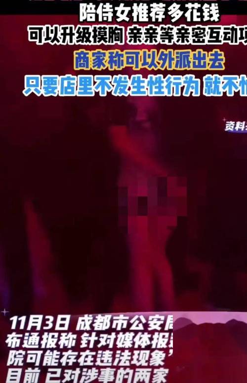 少妇av不卡的相关介绍