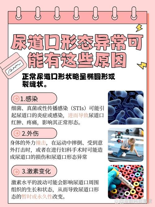 精品久久久8的相关介绍