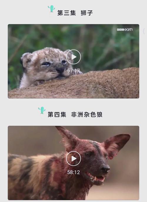 王朝影院在线观看最新热门电影电视剧,高清画质畅享追剧体验