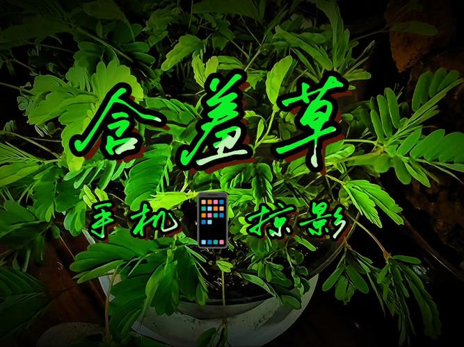 4480万达苹果影院4410的相关介绍