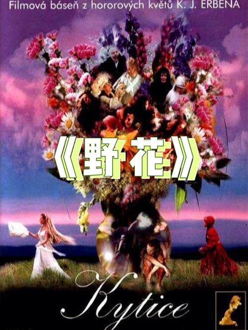 汇众影院 | 最新电影排期、优惠购票及周边美食推荐