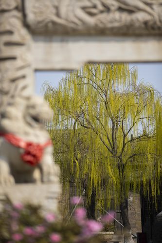 撸一撸在线影院 - 最新热门影视免费在线观看，高清无广告追剧神器，海量大片天天更新