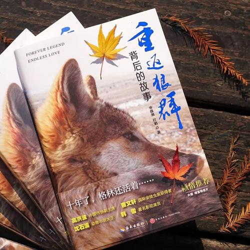 兰若寺影院 - 在线免费观看最新电影、热门影视剧及蓝光高清资源