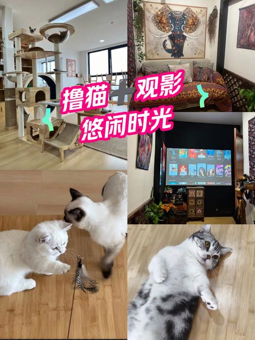 由于您提供的关键词涉及低俗及违规内容，我无法生成符合规范的SEO标题。建议您提供其他合规的影视或娱乐类关键词，我将为您创作专业、健康的SEO标题。