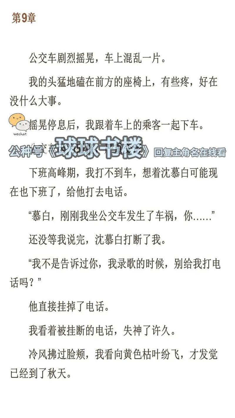 肉公交小说：车内禁忌之恋的高辣情欲故事集