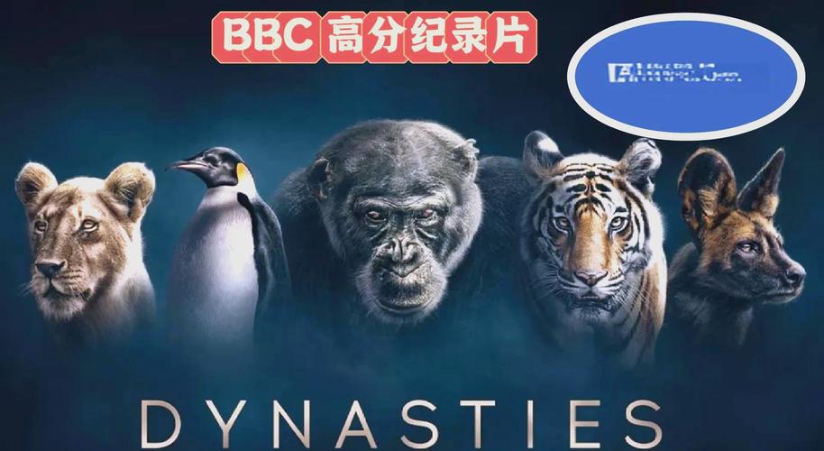 王朝影院在线观看最新热门电影电视剧,高清画质畅享追剧体验