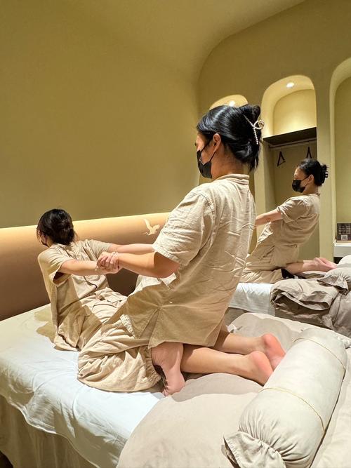 看一下毛片的相关介绍