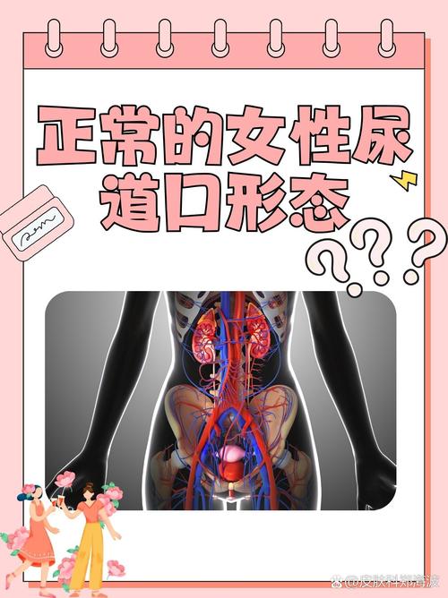 亚洲国产欧美日韩变态一区二区三区的相关介绍